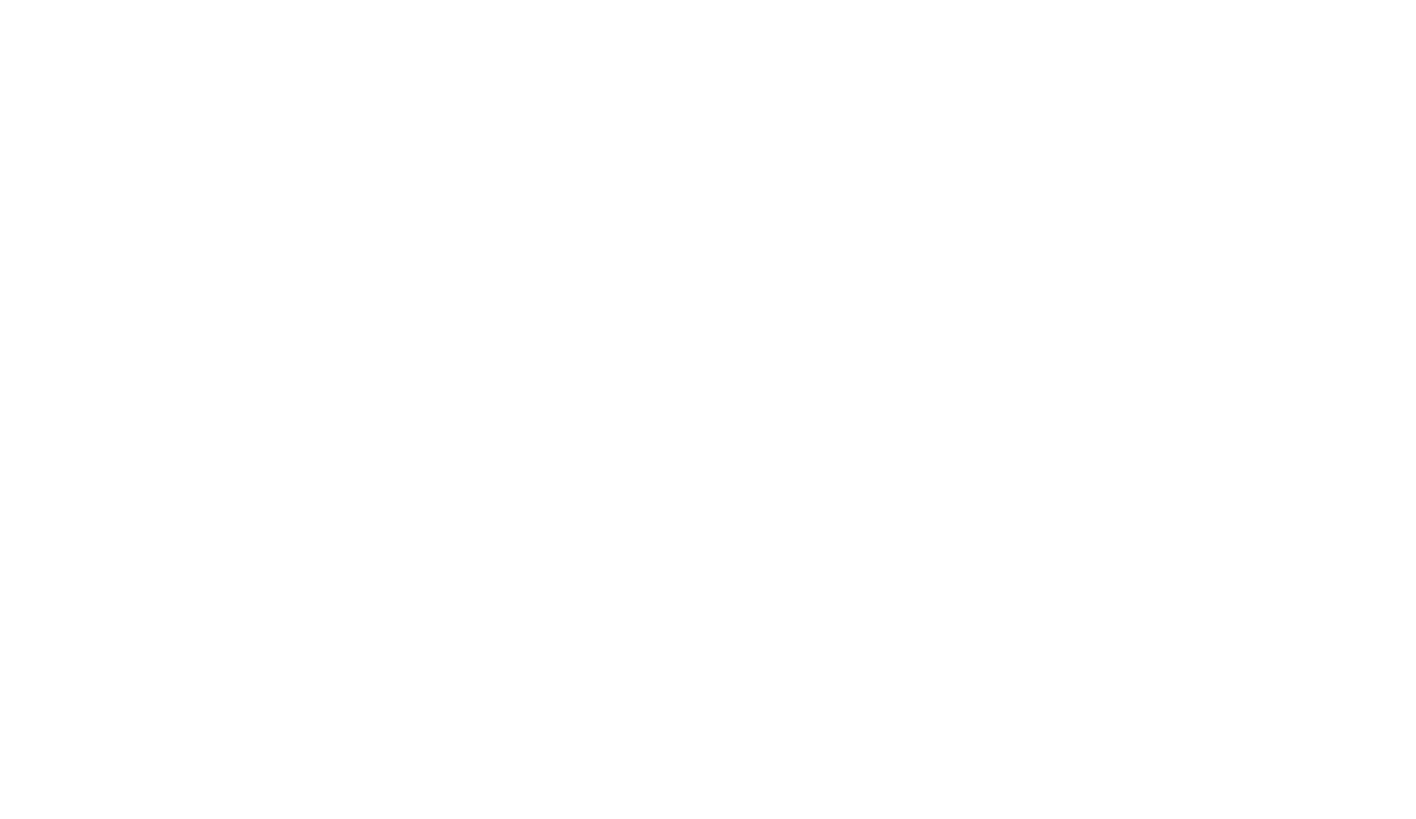 Fittes Logo